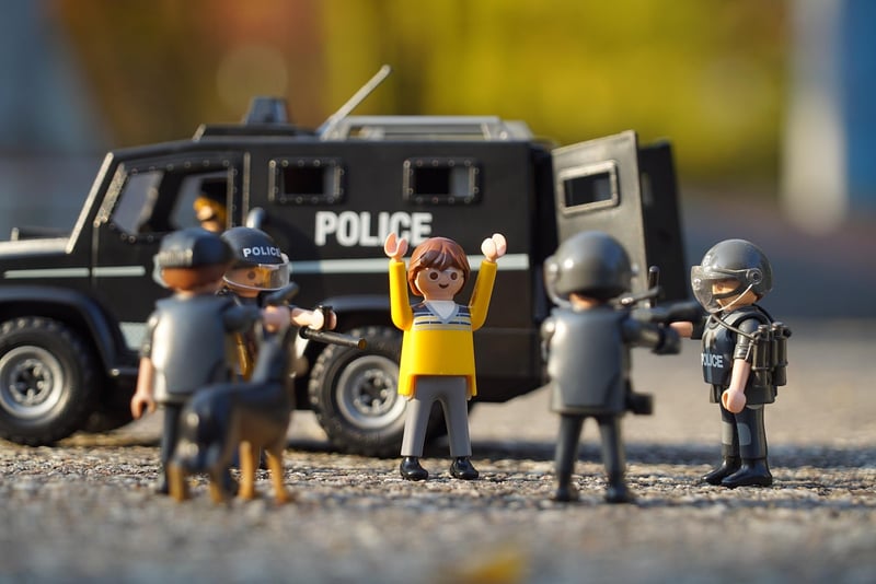 Celebrity Arrest